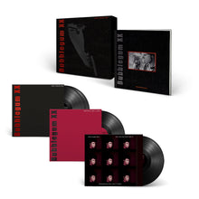 Load image into Gallery viewer, Mark Lanegan - Bubblegum XX Vinyl 4LP Set
