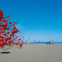 Load image into Gallery viewer, Cranberries - Wake Up And Smell The Coffee 25th Ann. Vinyl LP
