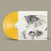 画像をギャラリービューアに読み込む, Daughter - Music From Before The Storm - 1LP - Recycled Yellow Vinyl  [National Album Day 2024]
