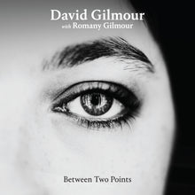 Load image into Gallery viewer, David Gilmour - Between Two Points Remixes - 1Lp - Clear Vinyl  [Record Store Day 2025]
