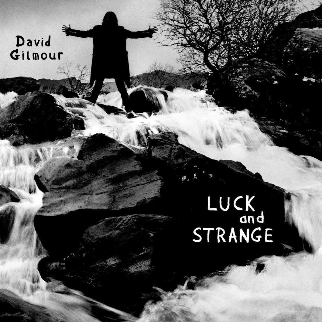 David Gilmour  - Luck and Strange Black Vinyl LP