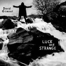 Load image into Gallery viewer, David Gilmour  - Luck and Strange Translucent Sea Blue Vinyl LP
