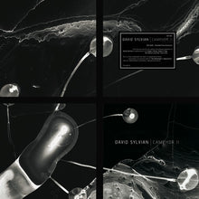 Load image into Gallery viewer, David Sylvian - Camphor II - 2LP - Translucent White Vinyl  [Record Store Day 2025]
