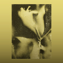 Load image into Gallery viewer, Flying Lotus - 1983 - 1LP - Exclusive Coloured Vinyl  [Record Store Day 2026]
