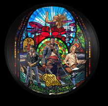 Load image into Gallery viewer, Grand Slam - Whiskey In The Jar - 12&quot; Picture Disc  [Record Store Day 2025]
