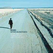 画像をギャラリービューアに読み込む, Echo &amp; The Bunnymen - What Are You Going To Do With Your Life? Transparent Vinyl LP
