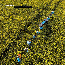 Load image into Gallery viewer, Pavey Ark - More Time, More Speed - 1LP - Limited Edition Leaf Green Vinyl  [Record Store Day 2026]
