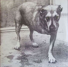Load image into Gallery viewer, Alice in chains - Alice in Chains 30th Anniversary Yellow Vinyl 2LP
