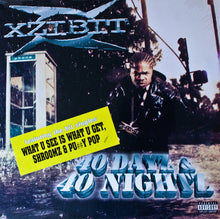 Cargar imagen en el visor de la galería, Xzibit - 40 Dayz &amp; 40 Nightz  Vinyl 2LP
