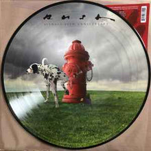 Cargar imagen en el visor de la galería, Rush - Signals 40th Anniversary Picture Disc Vinyl LP
