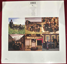 Cargar imagen en el visor de la galería, Cranberries _ No Need To Argue Vinyl LP
