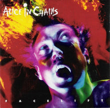 Load image into Gallery viewer, Alice In Chains - Facelift Vinyl 2LP
