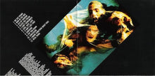 Load image into Gallery viewer, Alice In Chains - Facelift Vinyl 2LP
