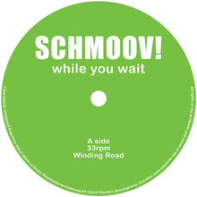 Cargar imagen en el visor de la galería, Schmoov! - While You Wait - 2LP - Purple Vinyl  [Record Store Day 2026]
