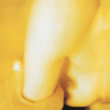 Cargar imagen en el visor de la galería, Smashing Pumpkins - Pisces Iscariot Vinyl 2LP
