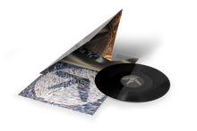 Load image into Gallery viewer, Aphex Twin -‘Blackbox Life Recorder 21f / in a 
room7 F760’ Vinyl 12&quot;
