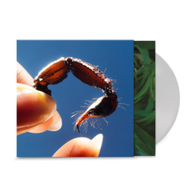 Cargar imagen en el visor de la galería, Squid - Cowards Indies Clear Vinyl LP
