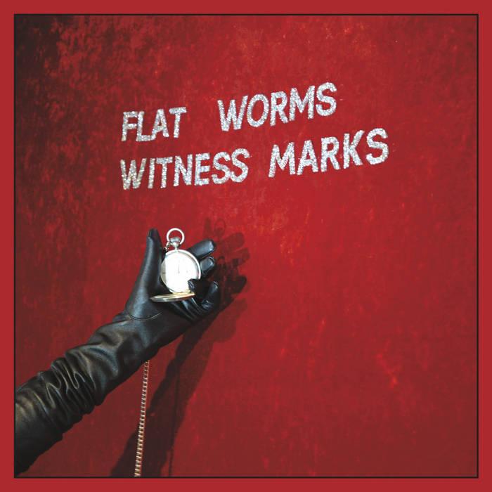 Flat Worms - Witness Marks  Vinyl LP
