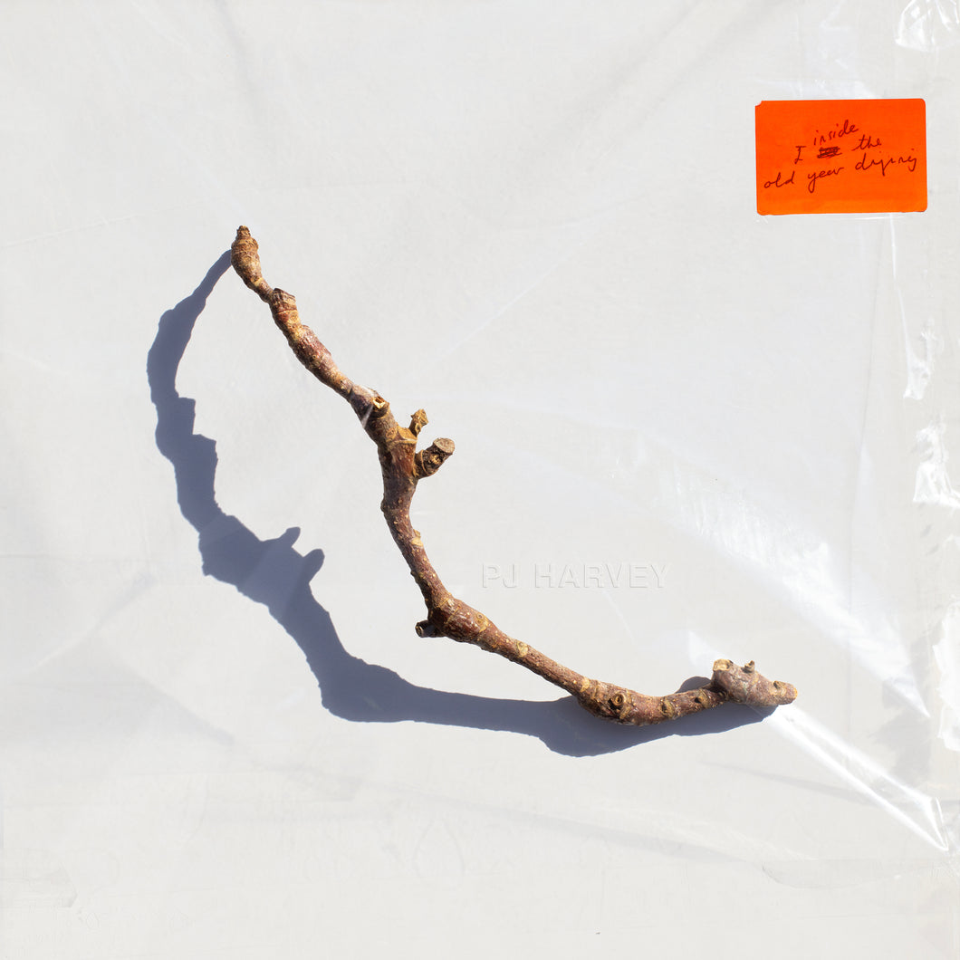 PJ Harvey - I Inside The Old Year Dying Vinyl LP