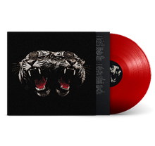 Load image into Gallery viewer, Royal Blood - Dead Company Transparent Red Vinyl LP
