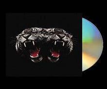 Load image into Gallery viewer, Royal Blood - Dead Company CD
