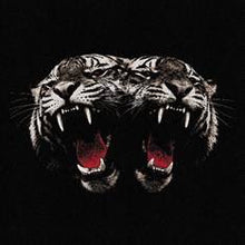 Load image into Gallery viewer, Royal Blood - Dead Company Transparent Red Vinyl LP
