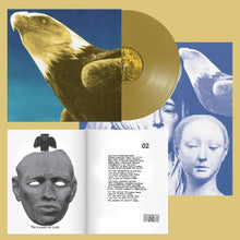 画像をギャラリービューアに読み込む, Protomartyr - Hotel Usona Gold Vinyl LP with poster &amp; zine!!!
