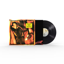 Load image into Gallery viewer, Roger Hodgson - Hai Hai Half Speed Mastered Vinyl LP
