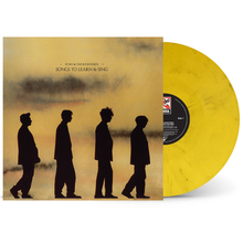 Load image into Gallery viewer, Echo &amp; The Bunnymen - Songs To Learn And Sing Yellow &amp; Black Marble Vinyl LP
