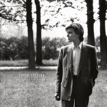 Load image into Gallery viewer, David Sylvian - Brilliant Trees Corona Olive Opaque Black Vinyl LP
