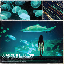 Load image into Gallery viewer, Bring Me The Horizon - Count Your Blessings Vinyl LP
