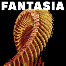 Cargar imagen en el visor de la galería, Slift - Fantasia (Loser Edition) Sparkle Starlight Vinyl + Etched 4th Side Vinyl 2LP
