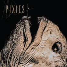 画像をギャラリービューアに読み込む, Pixies - "Complete B-Sides: 1988-97" Crystal Clear Vinyl 2LP
