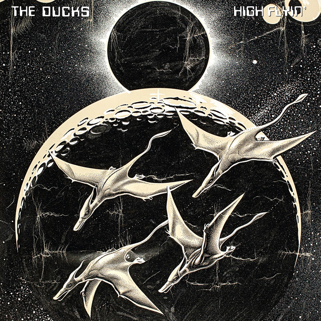 Ducks - High Flyin' Vinyl 3LP