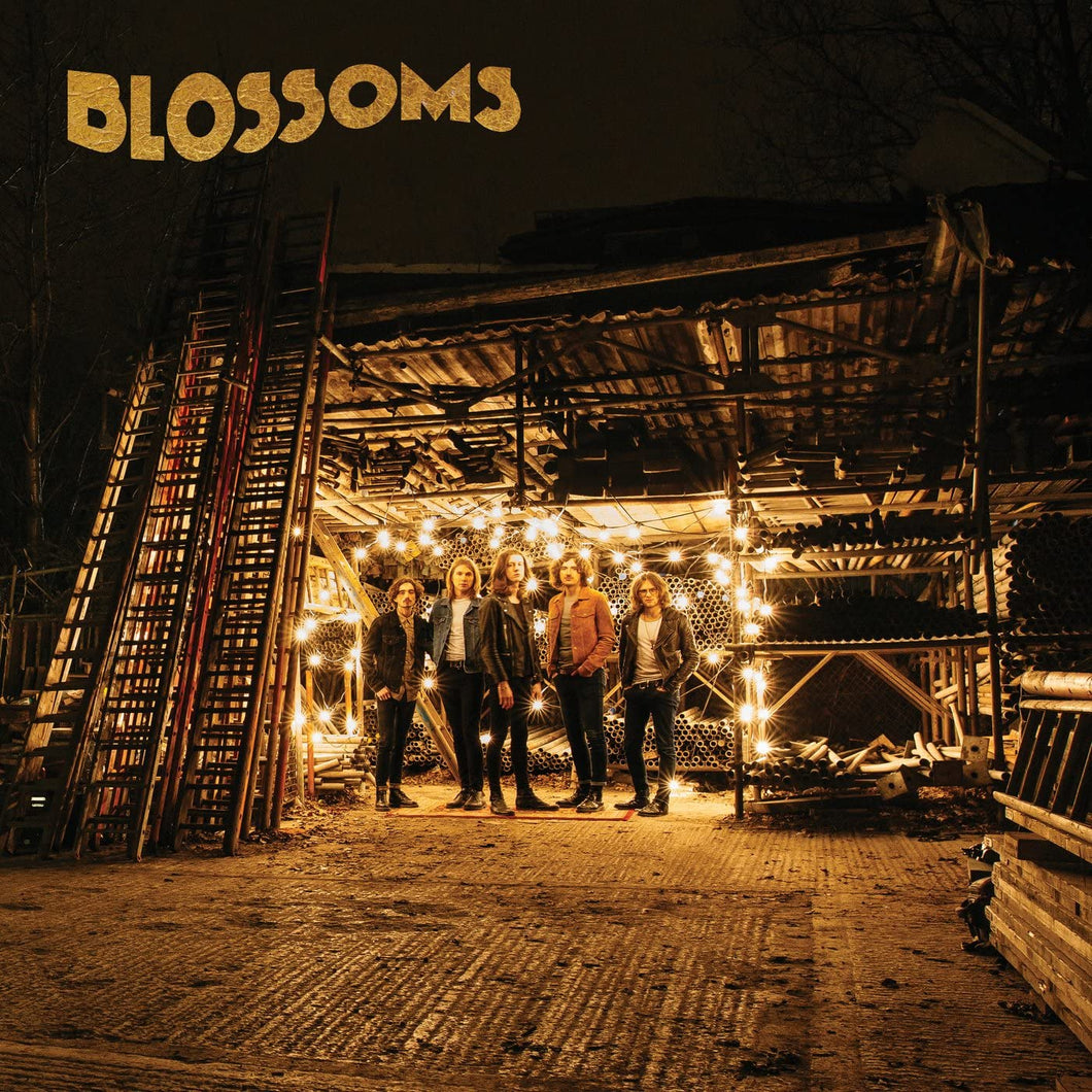 Blossoms - The Blossoms Orange Vinyl 2LP National Album Day 2022