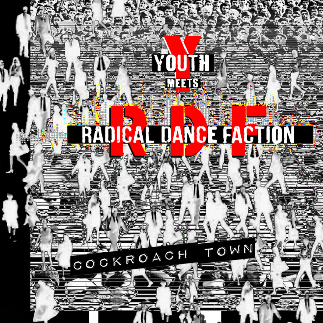 YOUTH MEETS RADICAL DANCE FACTION - Cockroach Town - 12