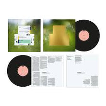 Load image into Gallery viewer, Spiritualized - Everything Was Beautiful Black Vinyl LP
