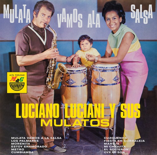 Luciano Luciani Y Sus Mulatos - Multa Vamos A La Salsa Vinyl LP